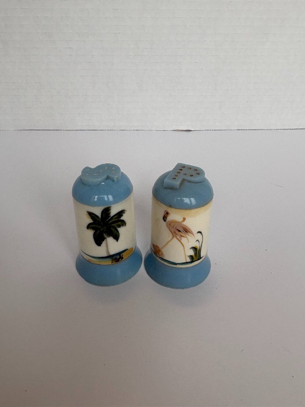 Vintage Plastic Tropical Theme Salt and Pepper Shakers